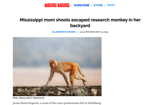 Screenshot 2025 11 06 at 2 47 31 PM